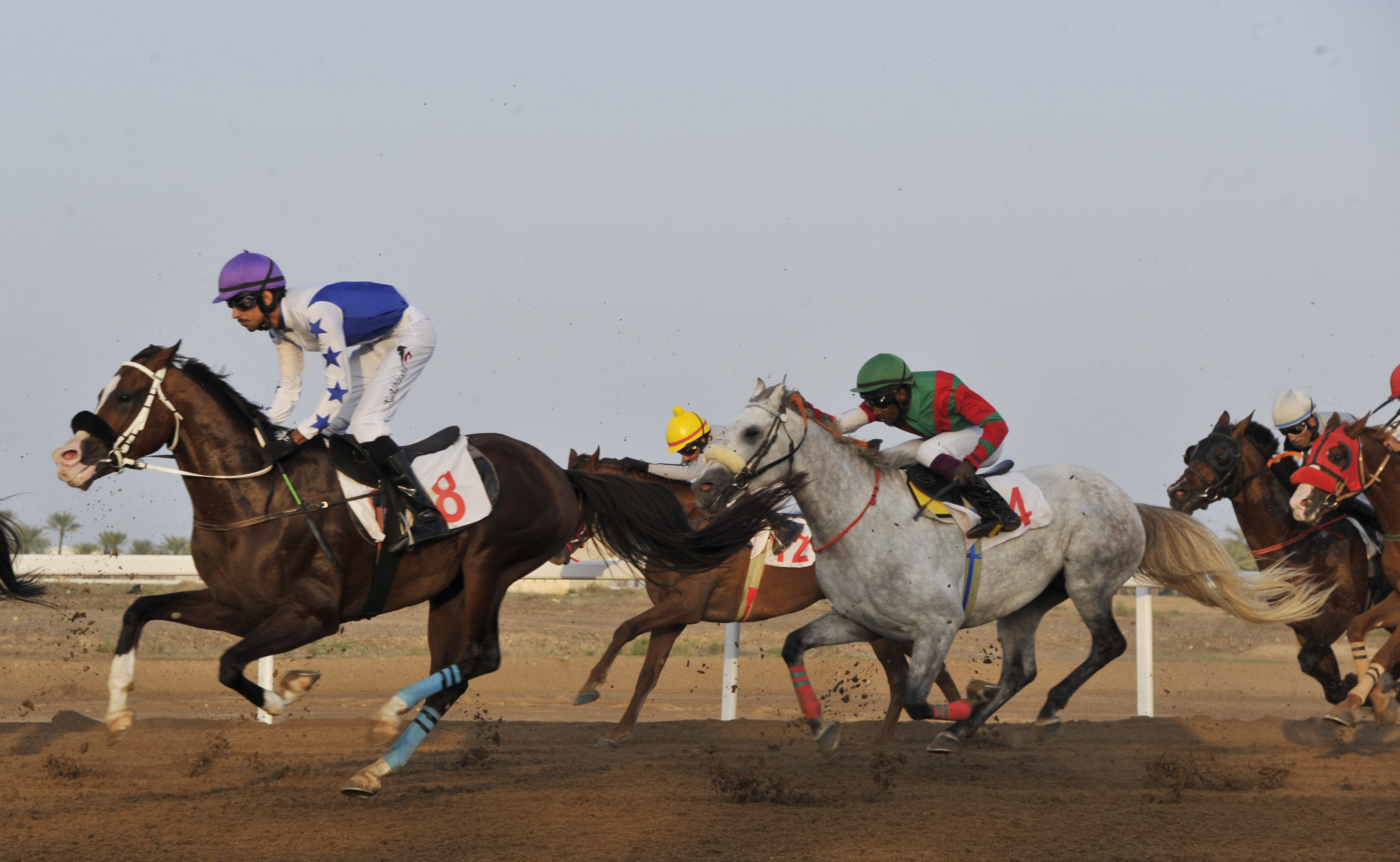 نادي سباق الخيل السلطاني ينظم السباق السادس بميدان الرحبة