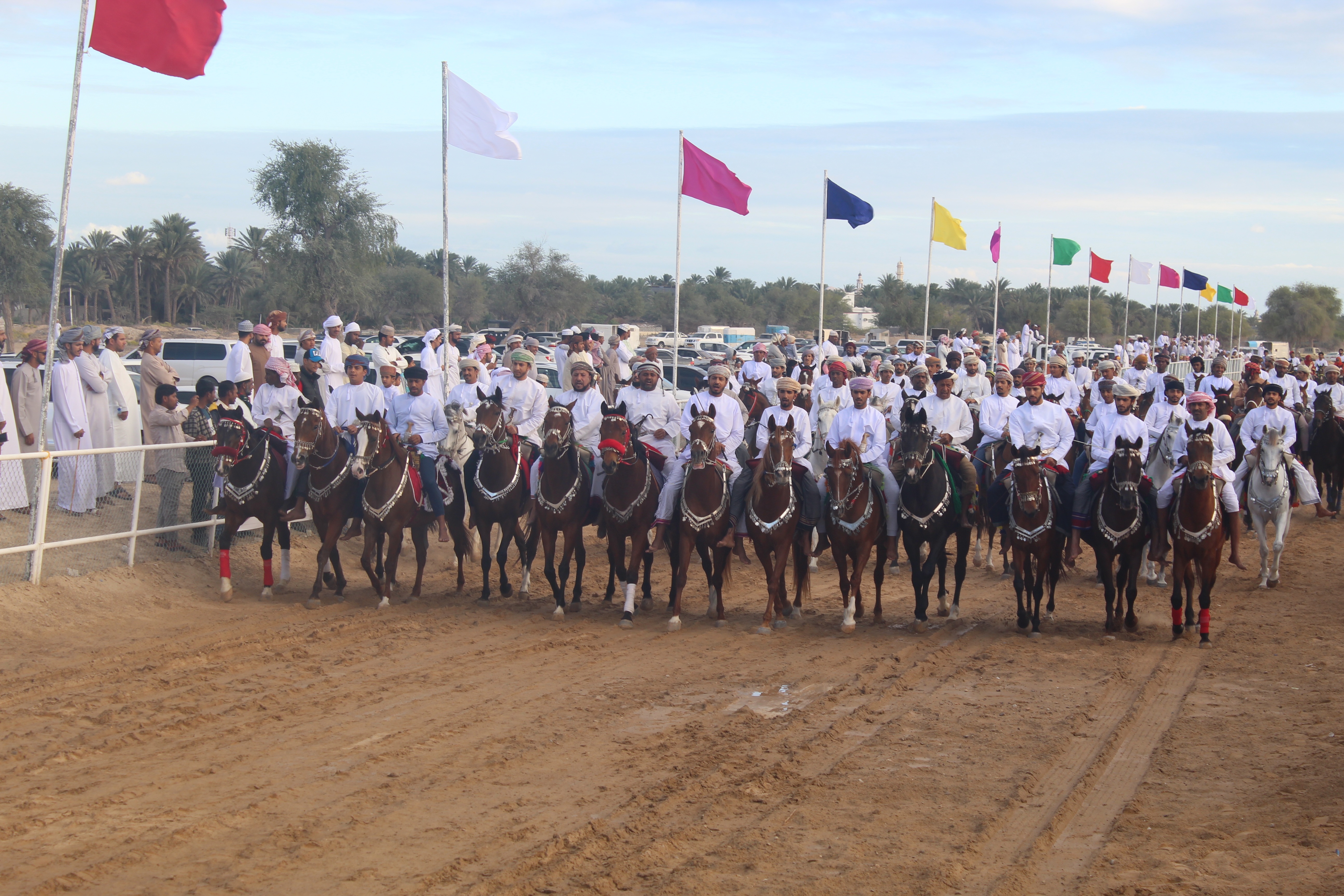 مهرجان عرضة الخيل  بولاية جعلان بوعلي