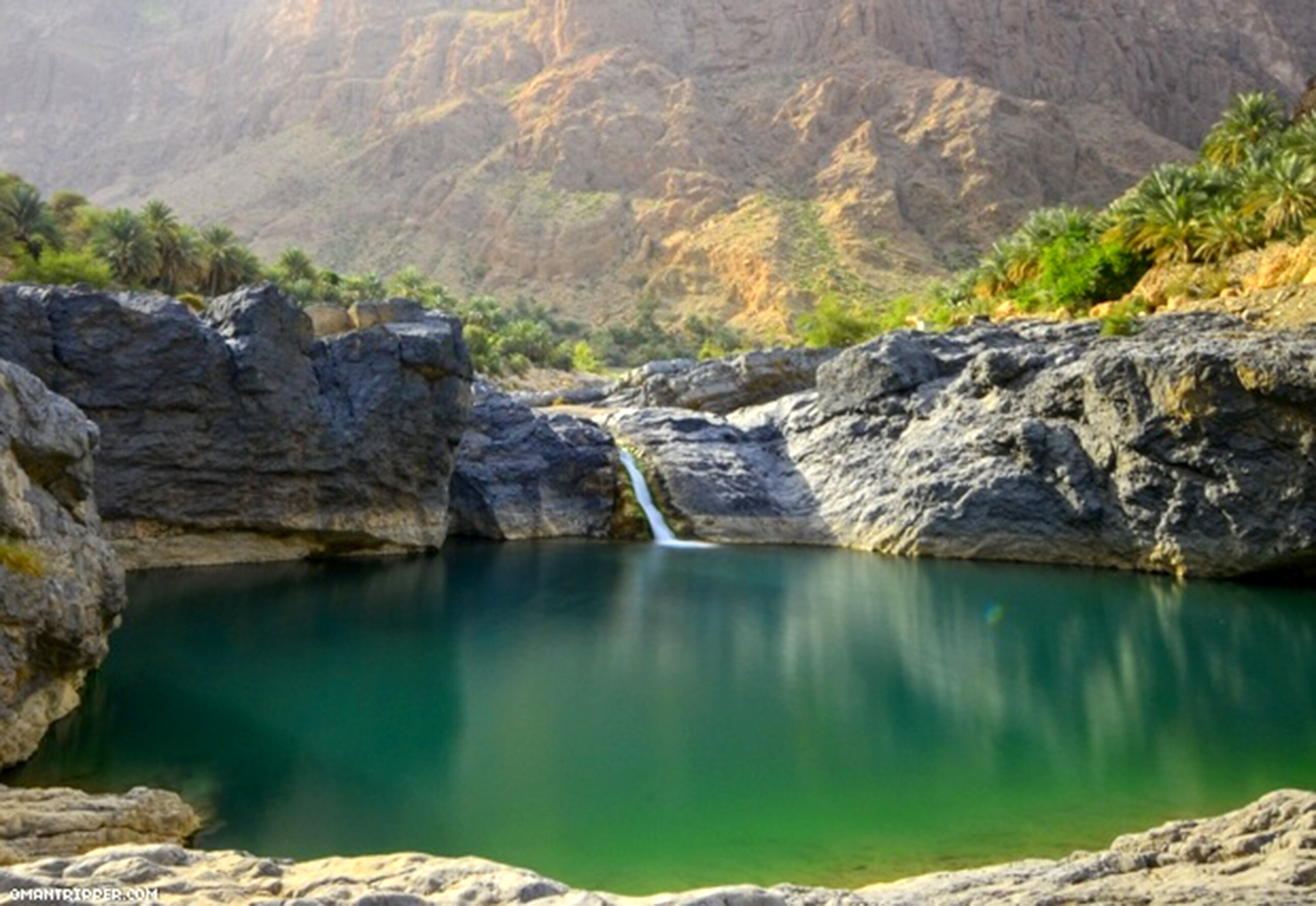 وادي العربيين