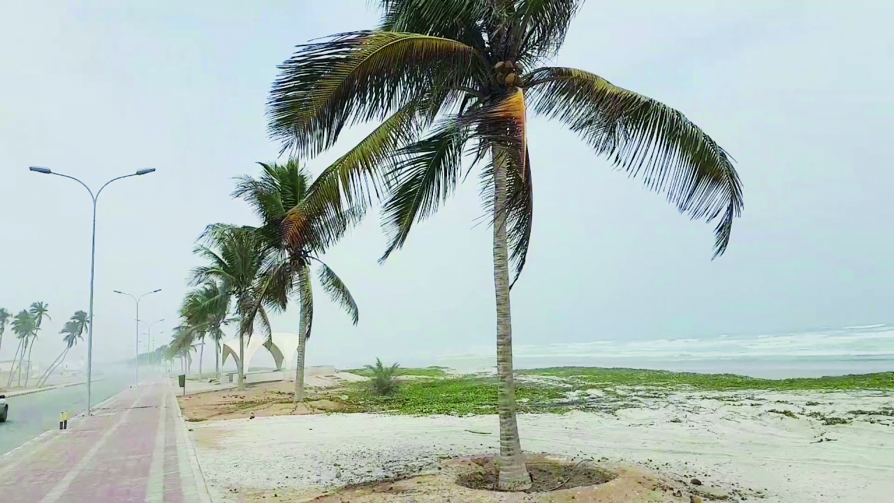 شاطئ طاقة