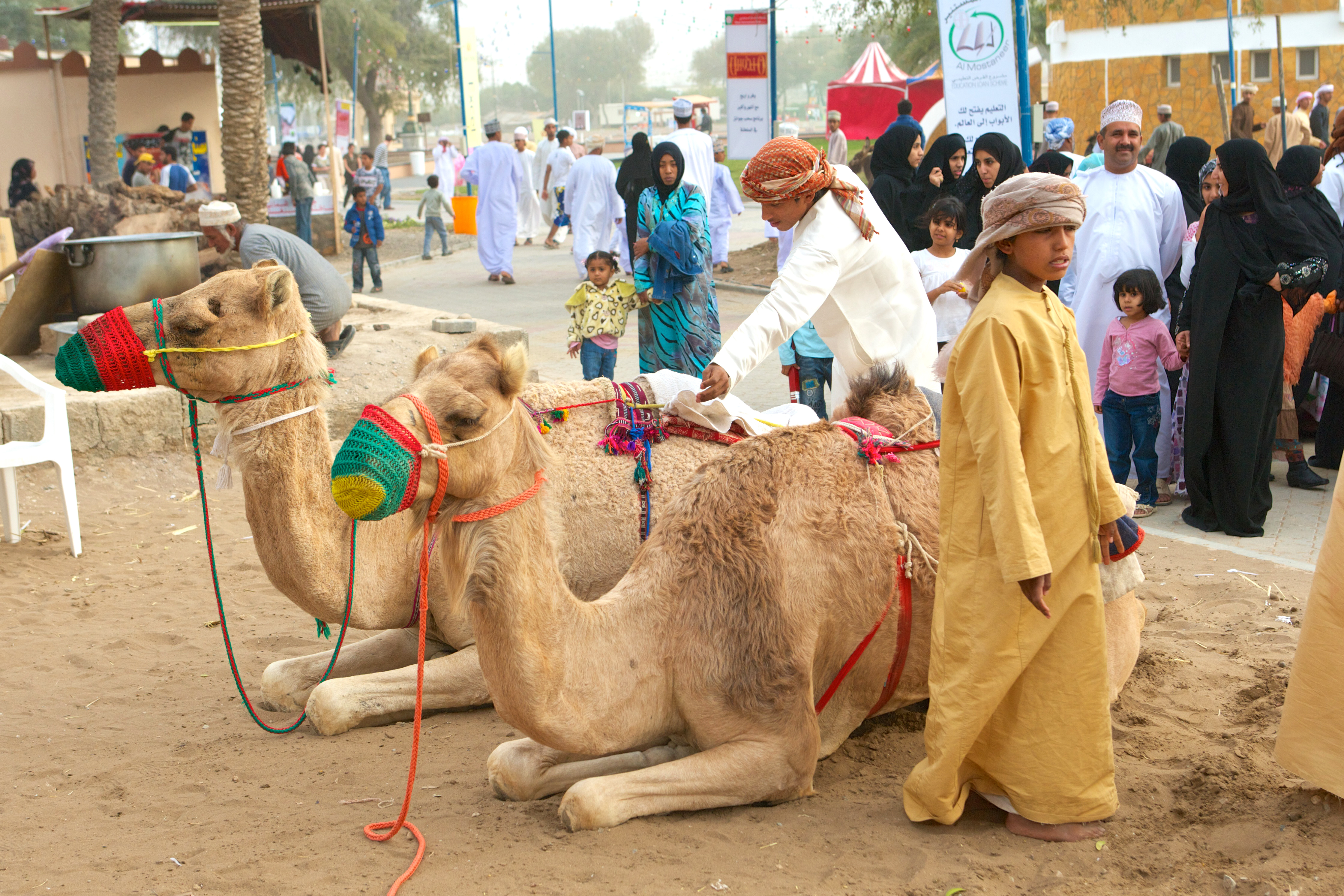 مهنة تربية الجمال