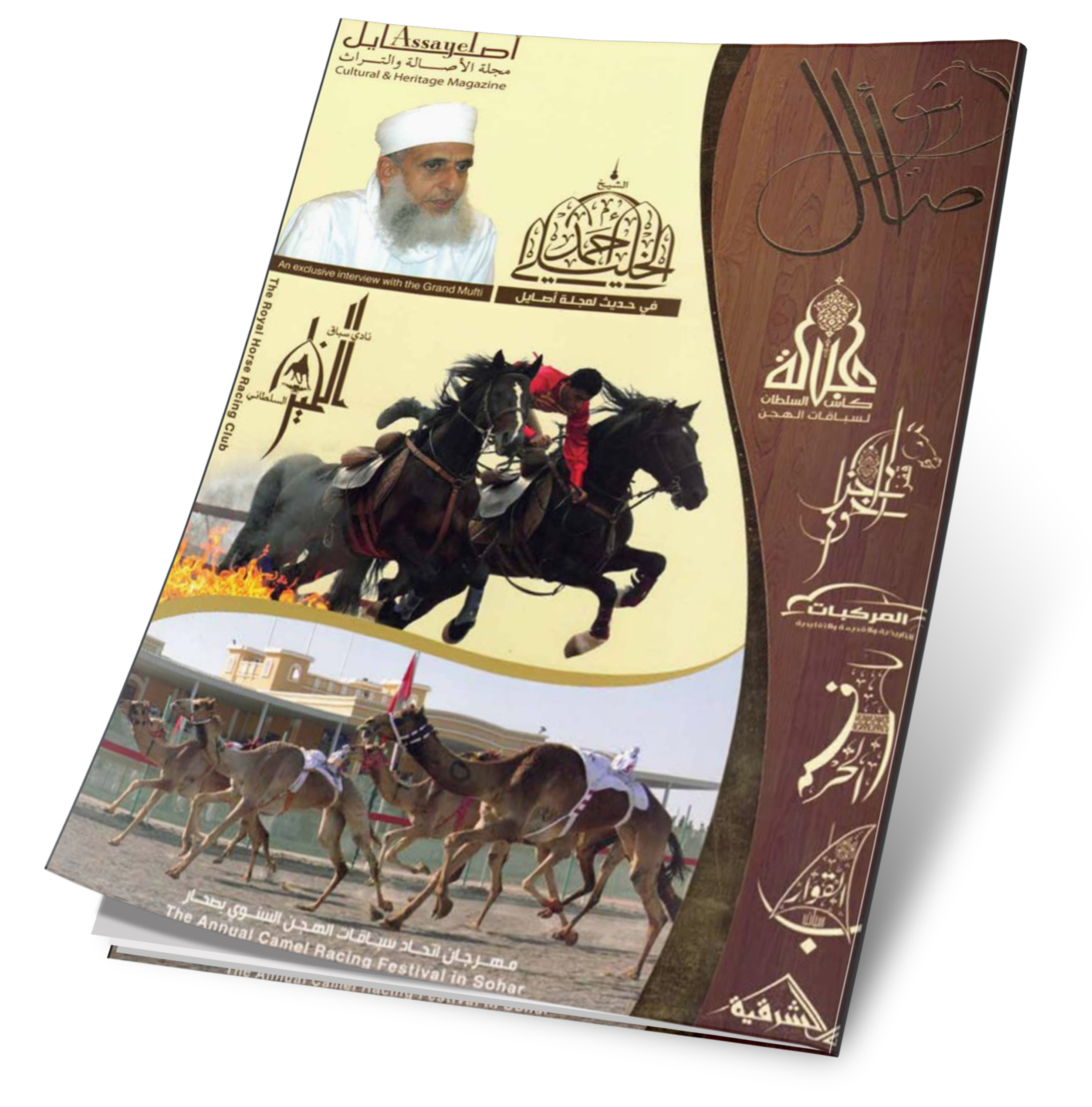 غلاف العدد 25