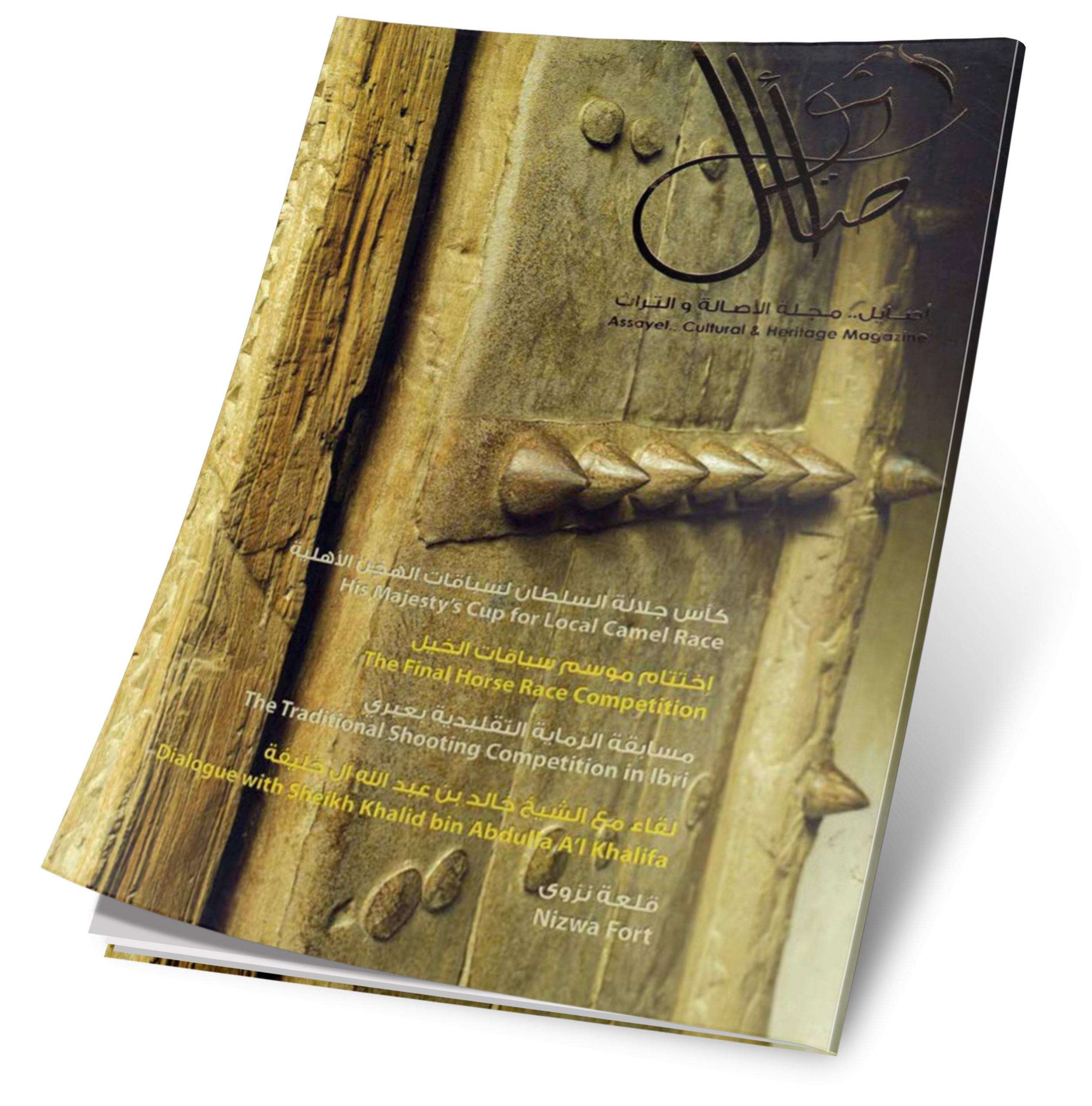 غلاف العدد 29