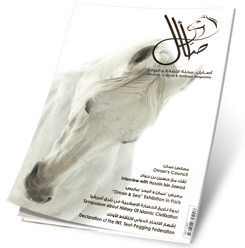 غلاف العدد 31