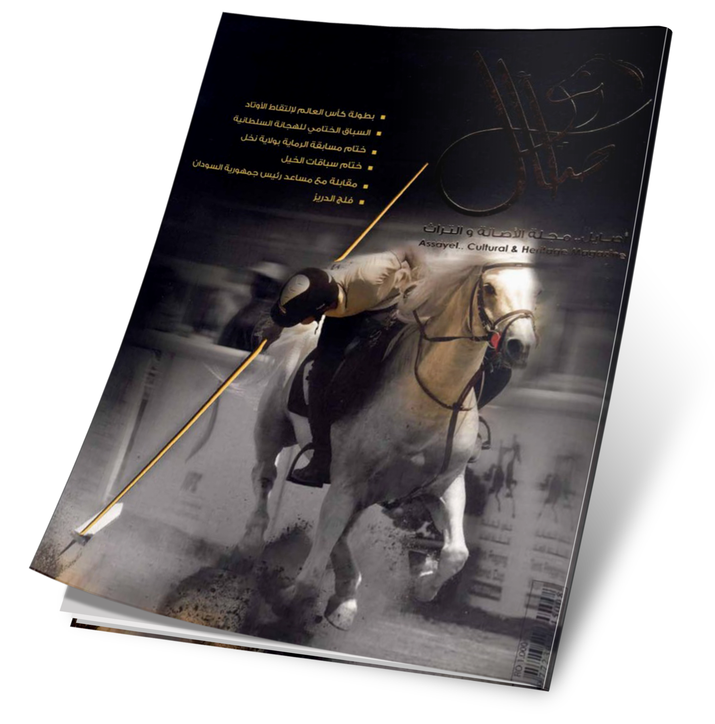 غلاف العدد 33