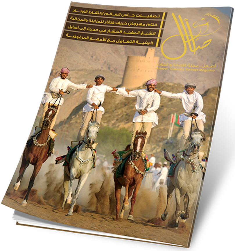 غلاف العدد 46