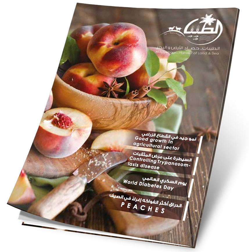 غلاف العدد 16