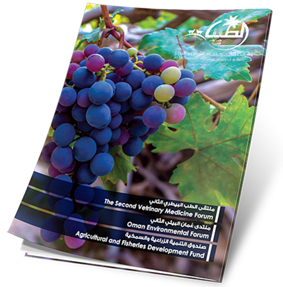 غلاف العدد 19