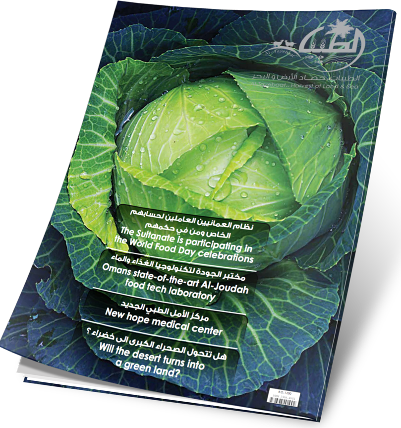 غلاف العدد 21