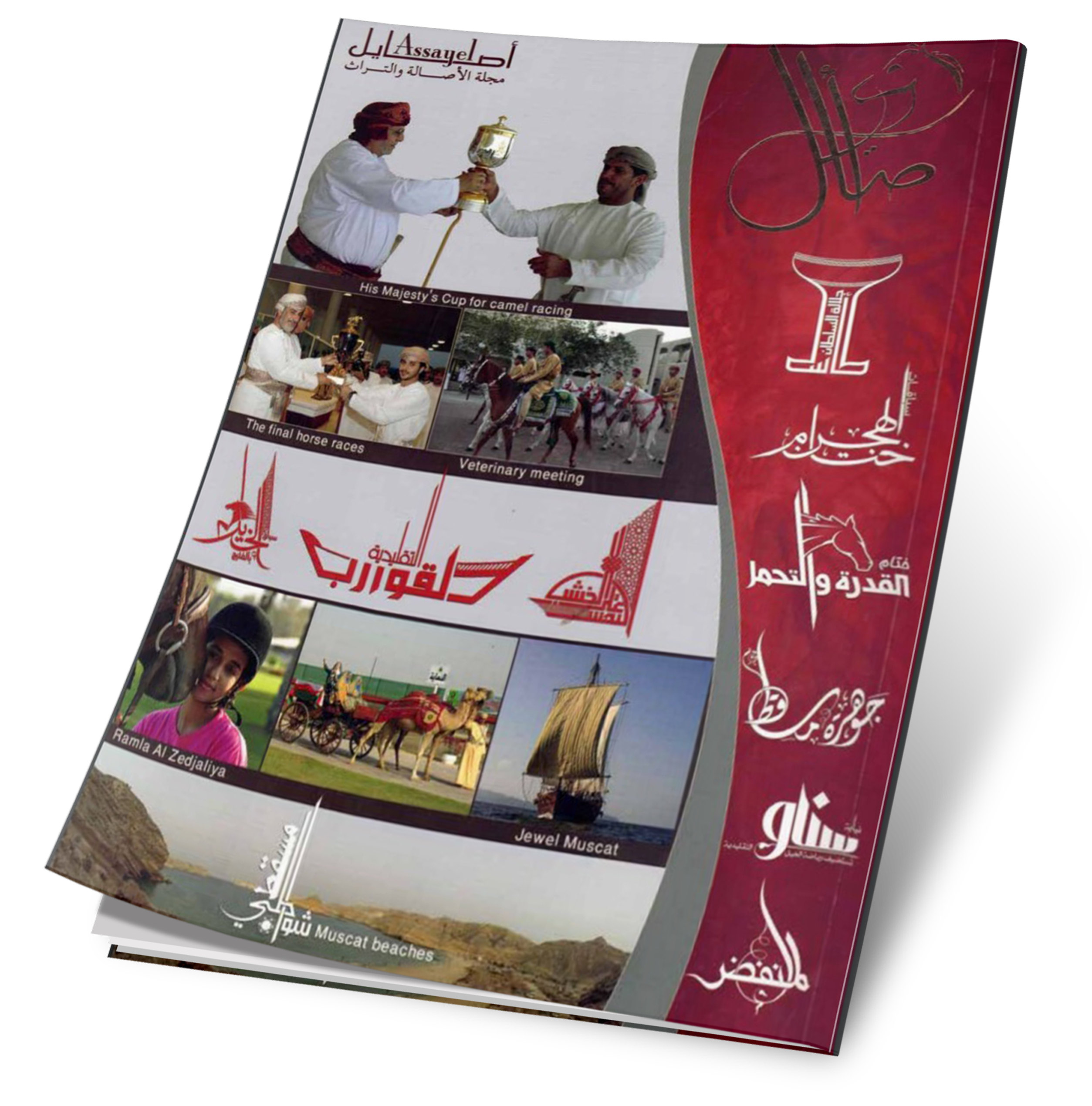 غلاف العدد 17