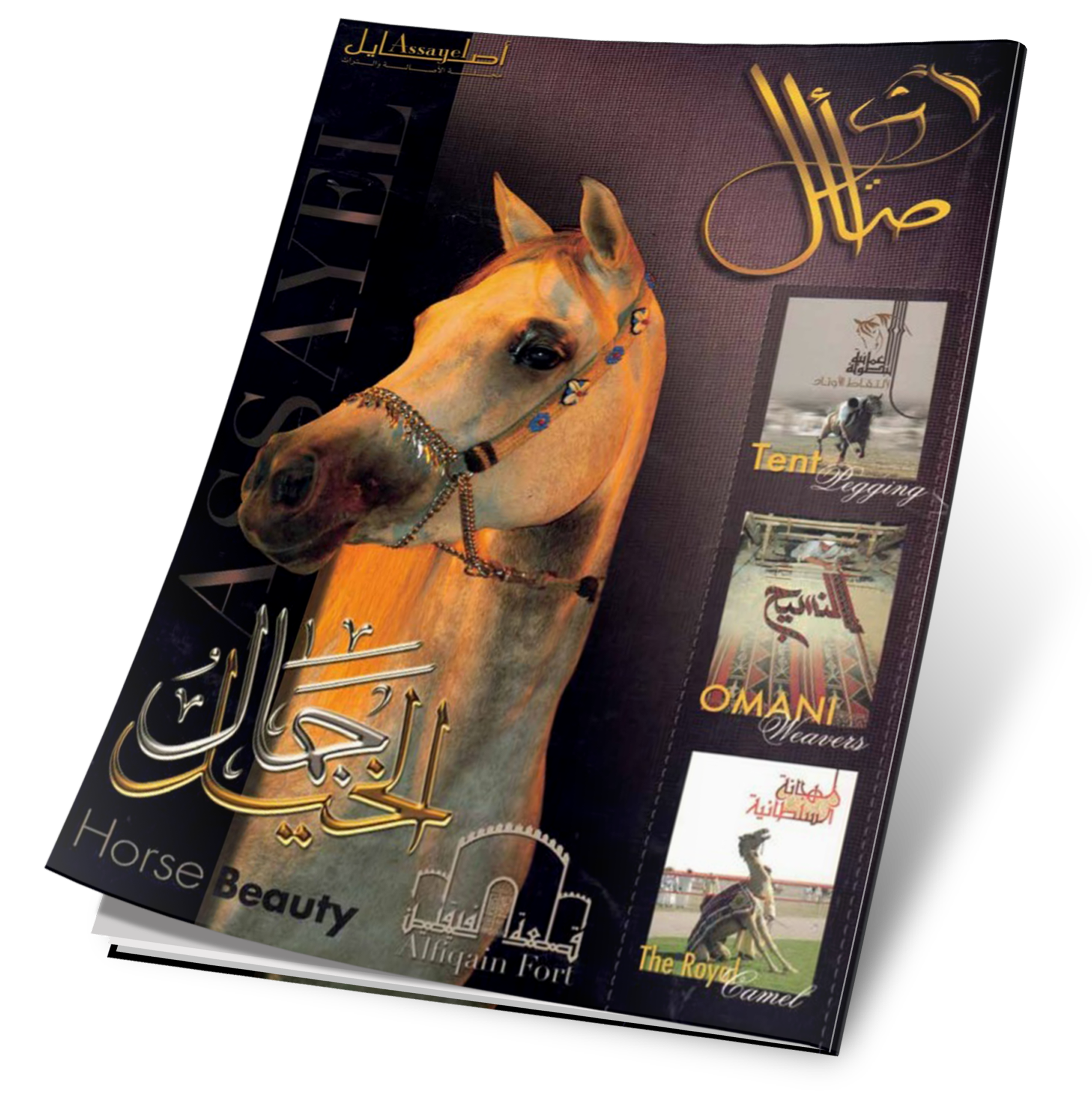 غلاف العدد 6