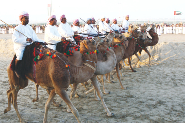 عرضة الهجن بولاية لوى