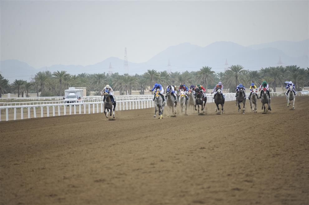 السباق التاسع لنادي سباق الخيل السلطاني بميدان الرحبة ببركاء