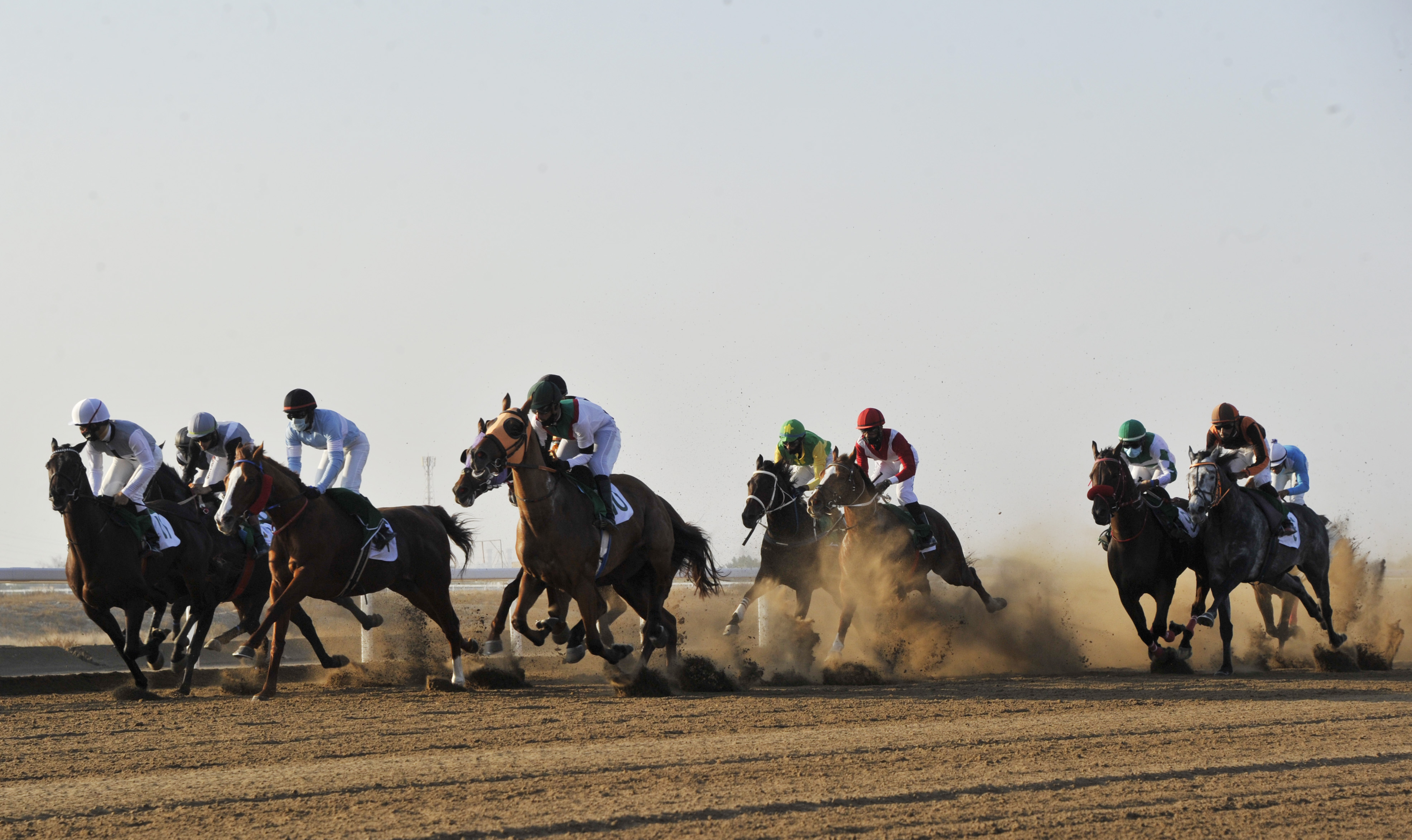 السباق الرابع لنادي سباق الخيل السلطاني ببركاء