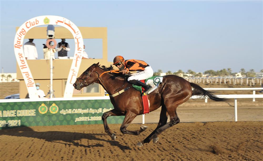 السباق الثامن لنادي سباق الخيل السلطاني