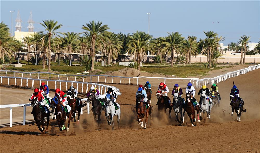 السباق السابع لنادي سباق الخيل السلطاني بمضمار الرحبة ببركاء