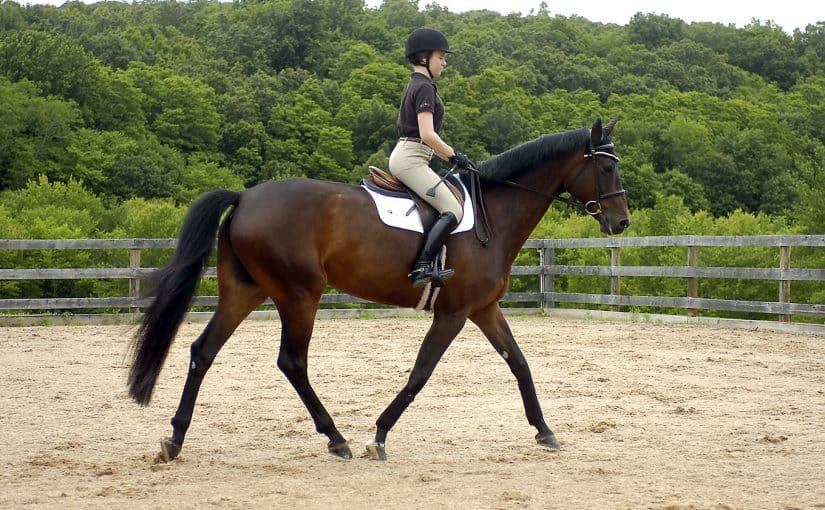 ركوب الخيل يساعد على تخطي السكتات الدماغية