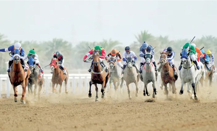 مضمار الرحبة يشهد سباق الخيل السابع