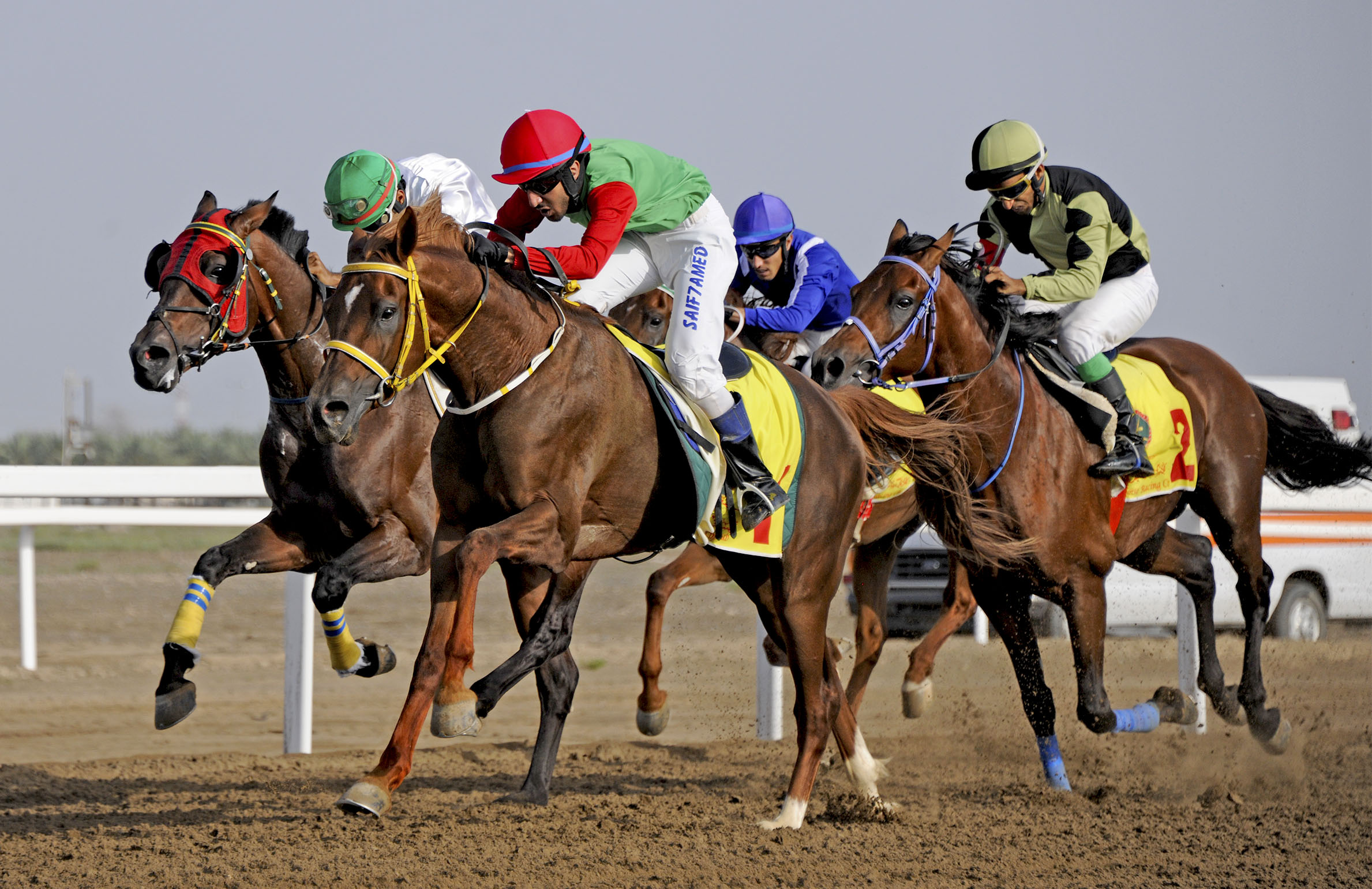 مضمار الرحبة يشهد السباق الـ/12