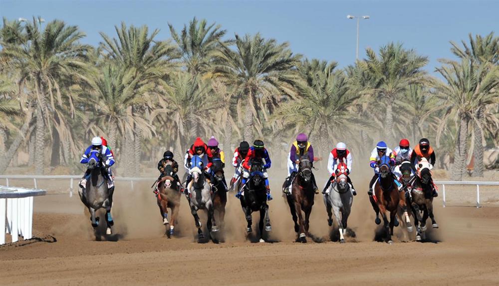 مضمار الرحبة يشهد غدا سباق الخيل الحادي عشر