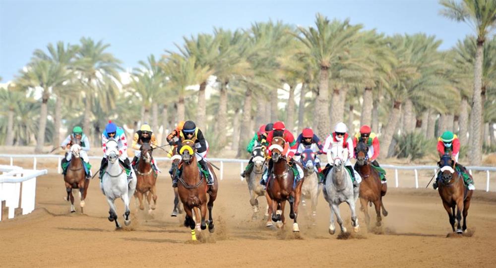 مضمار الرحبة يشهد غدًا سباق الخيل السادس