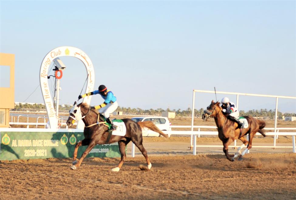 السباق السابع لنادي سباق الخيل السلطاني بميدان الرحبة ببركاء