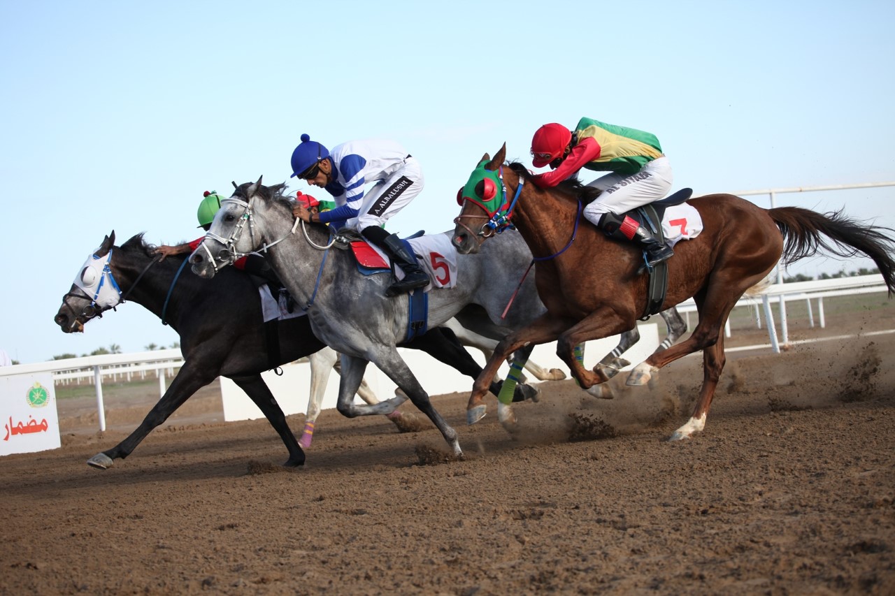 ثمانية أشواط في السباق السابع لنادي سباق الخيل السلطاني ببركاء