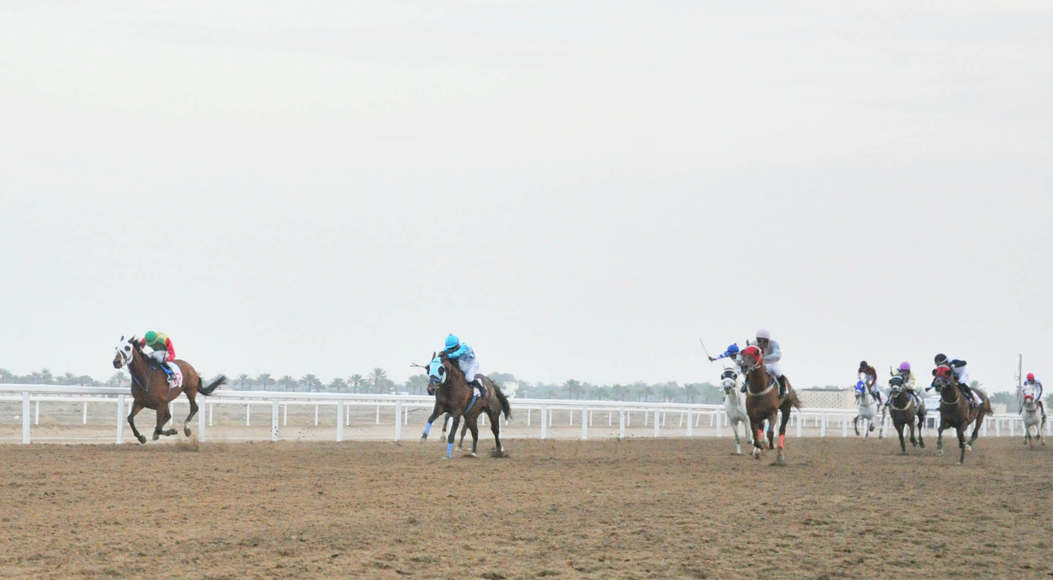 ثمانية أشواط في السباق الخامس لنادي سباق الخيل السلطاني ببركاء