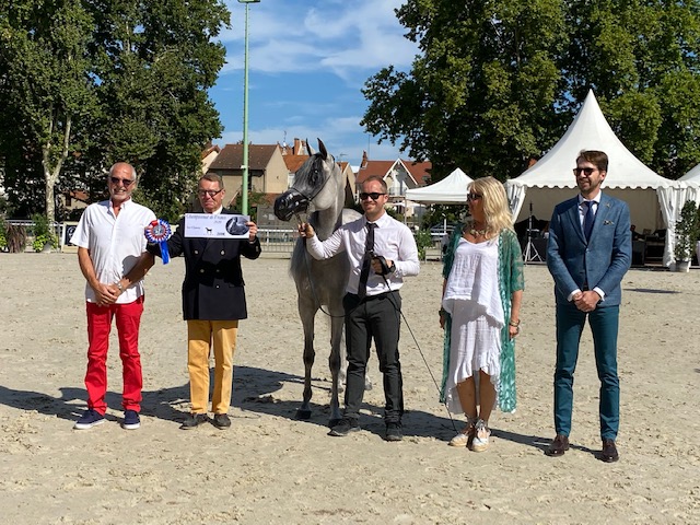 الخيالة السلطانية تفوز بست ميداليات في بطولة فيشي الفرنسية لجمال الخيل