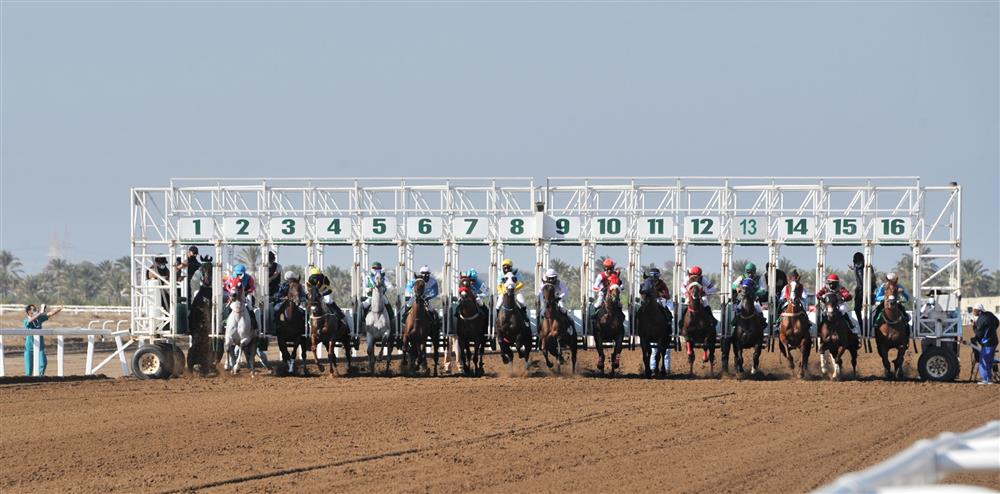 السباق الحادي عشر لنادي سباق الخيل السلطاني بميدان الرحبة ببركاء
