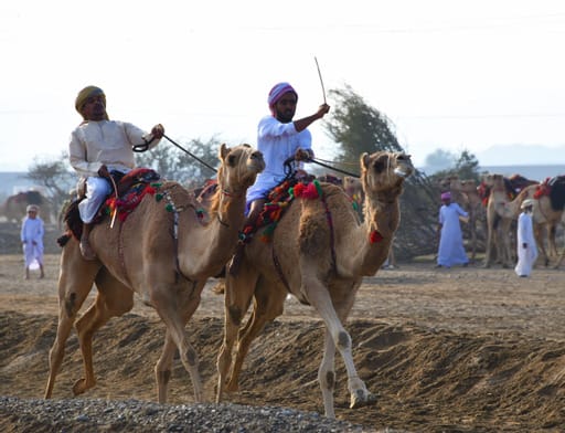ختام فعاليات ركض العرضة بالفليج بولاية بركاء
