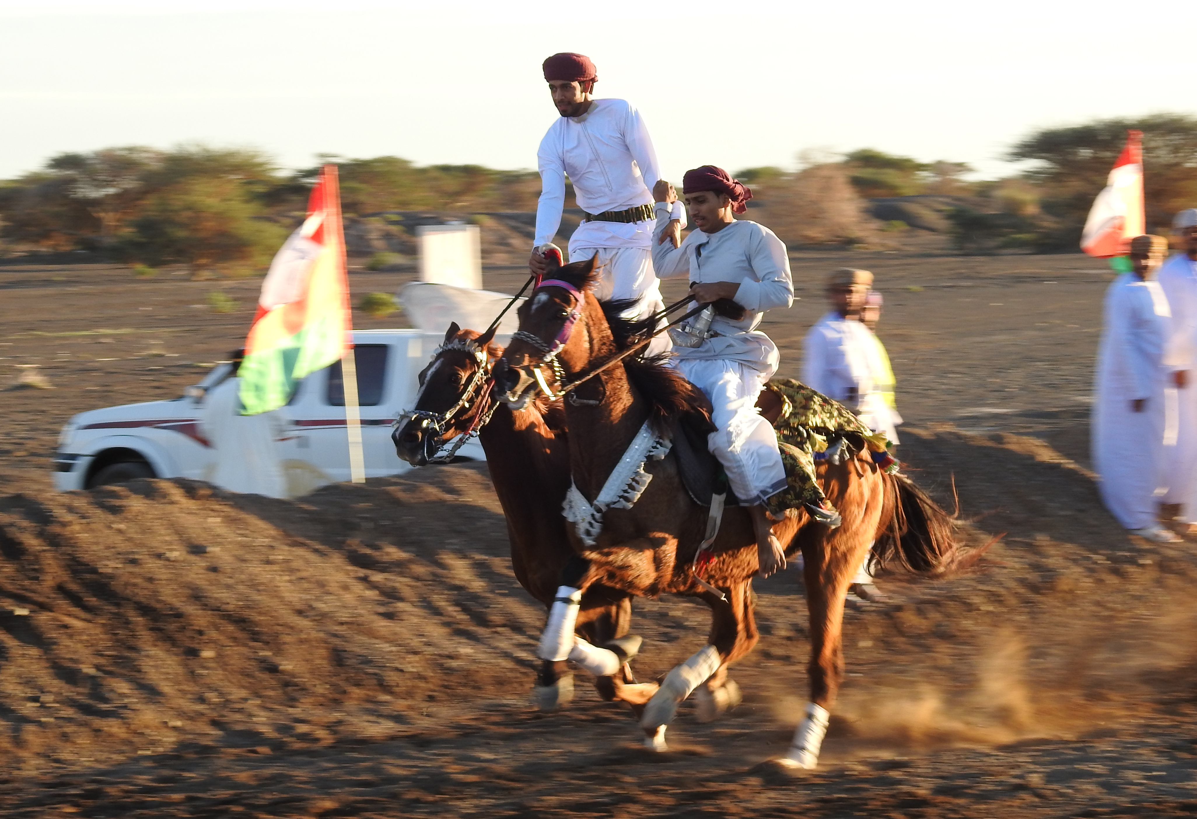 ولاية المضيبي تقيم عرضة الخيل بقرية الخشبة