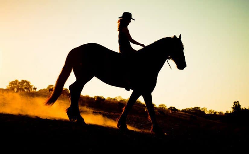 امتطاء الخيل يقلل من ارتفاع نسبة هرمونات التوتر لدى الشباب