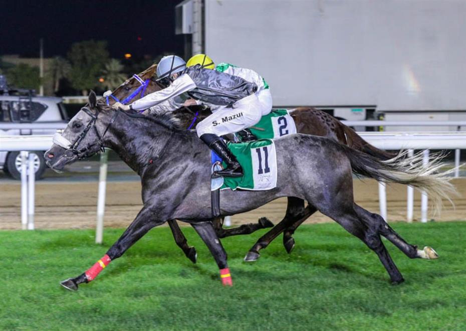 الحصانان شجاع مسقط وهيروس دي لجارد يحققان المركز الأول في سباق للفروسية بأبوظبي