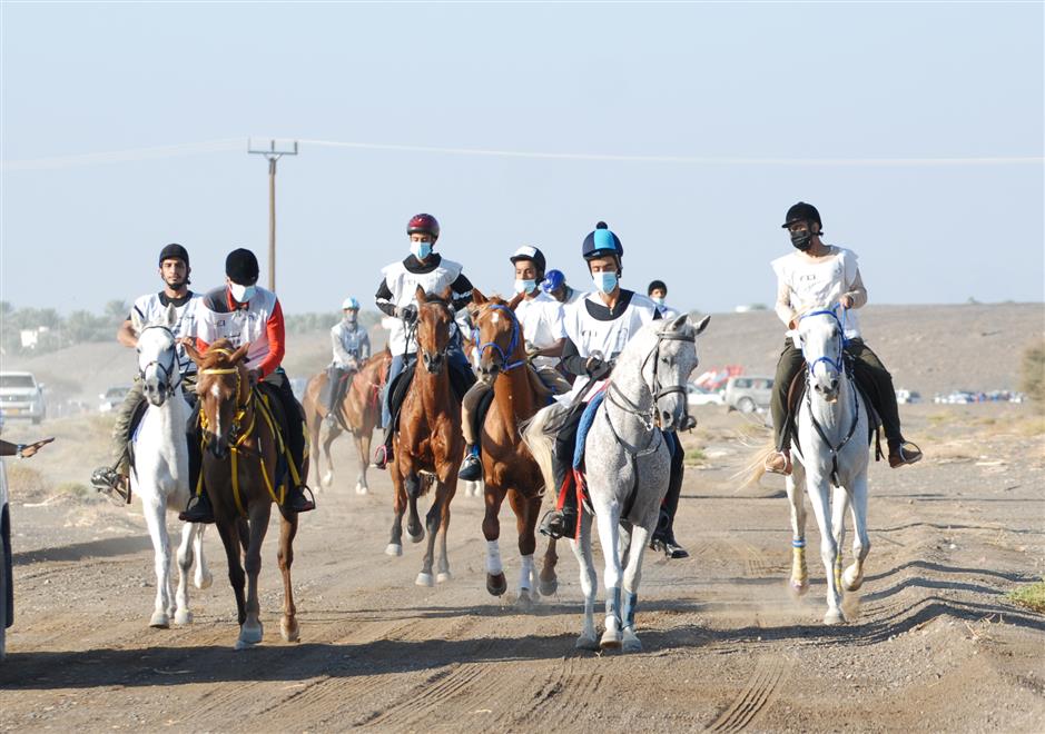 سباق للقدرة والتحمل للخيل بولاية المضيبي