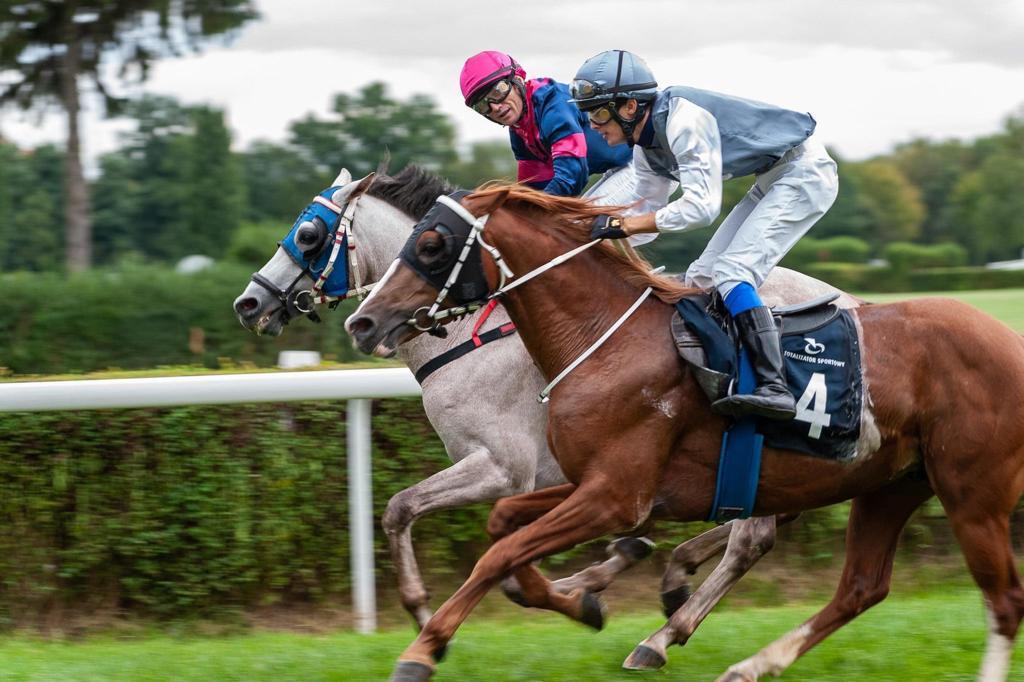 مهاجر مسقط يخطف المركز الأول في سباق الخيل العربية ببولندا