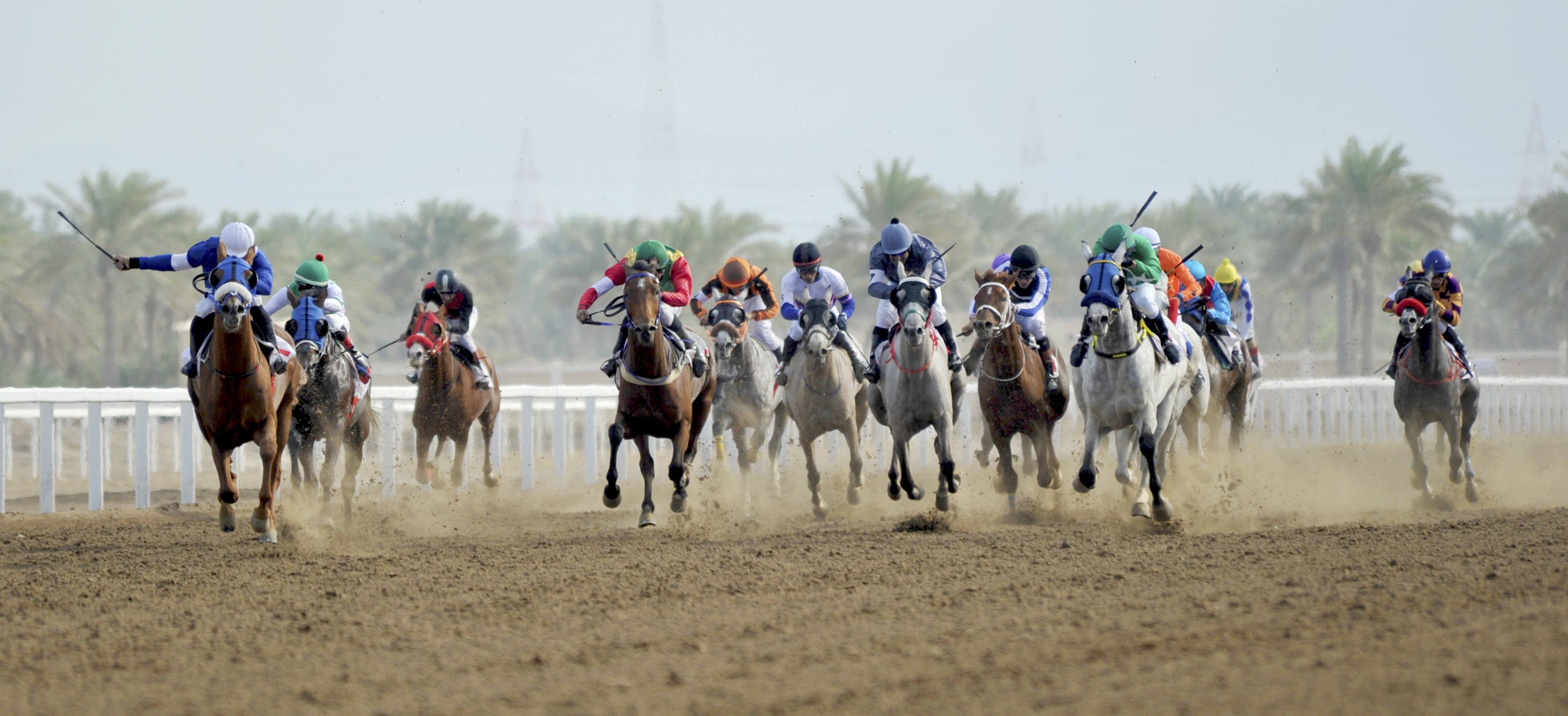 مضمار الرحبة يشهد سباق الخيل التاسع