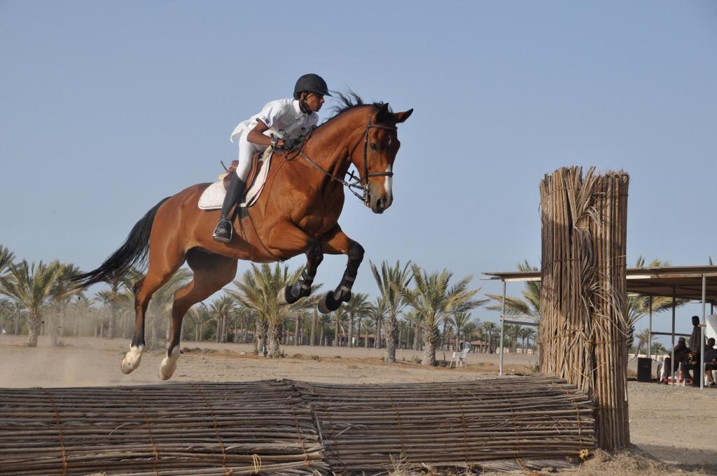 مسابقة الفروسية الثلاثية