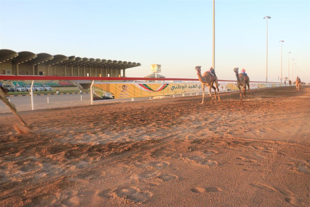 انطلاق منافسات سباق العيد الوطني للهجن بميدان البشائر بأدم