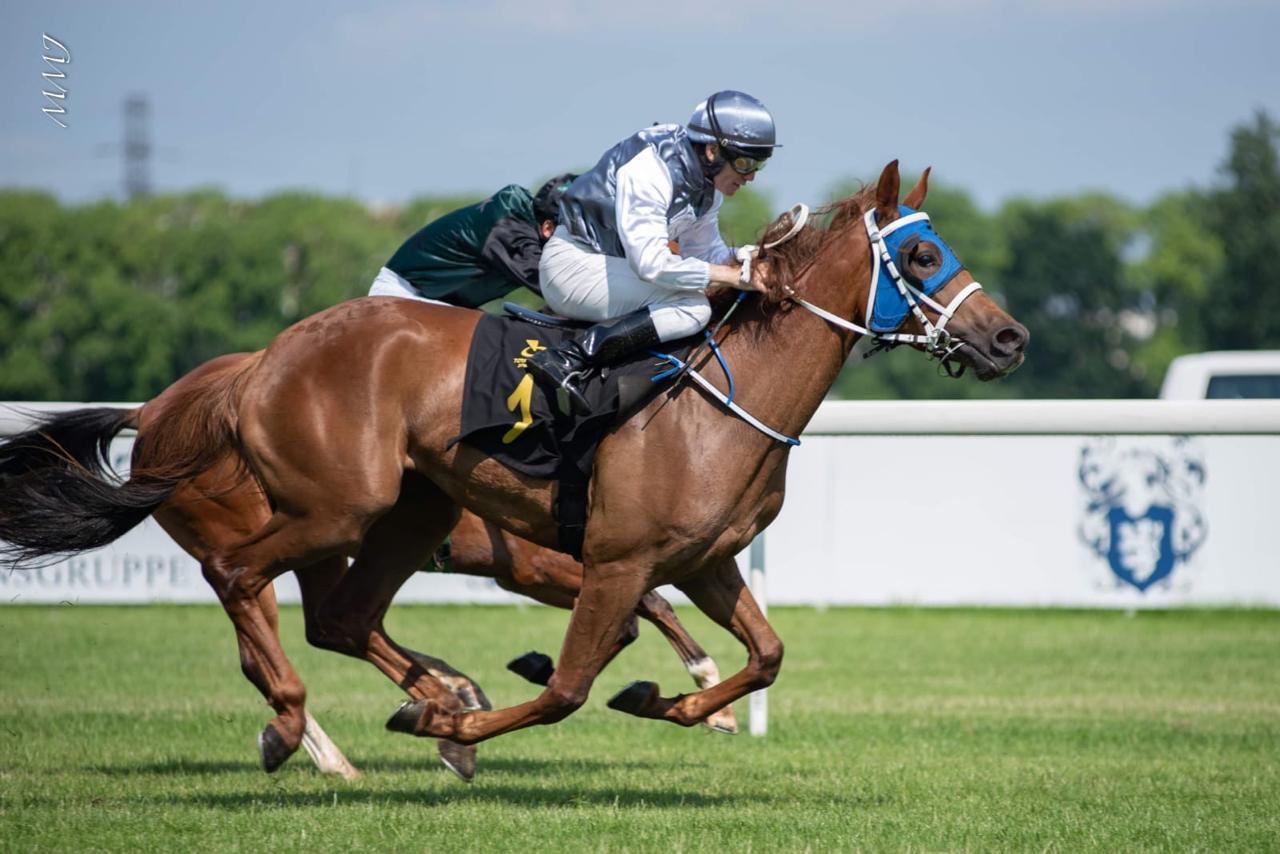 المهرة "هاجر مسقط" تفوز بالمركز الأول ببولندا