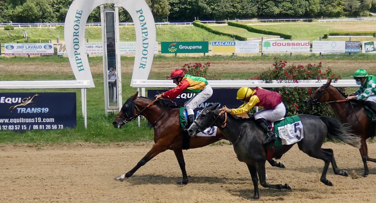 الحصان "السيّاد" للخيالة السلطانية يفوز بالمركز الأول على مضمار بمبادور الفرنسي