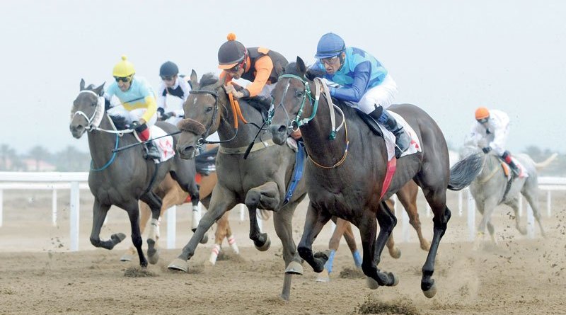 نادي سباق الخيل السلطاني ينظم السباق العاشر بميدان الرحبة