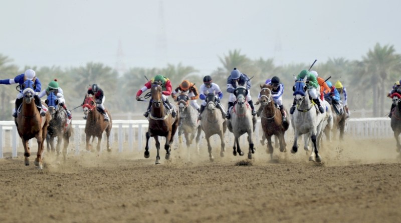 نخبة الخيول بالسلطنة تشارك في كأس الديربي العماني الجمعة القادم