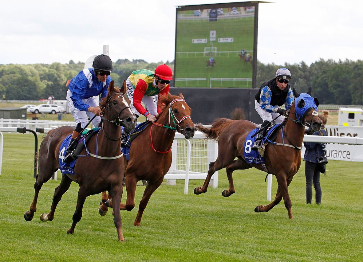 المهر بارق للخيالة السلطانية