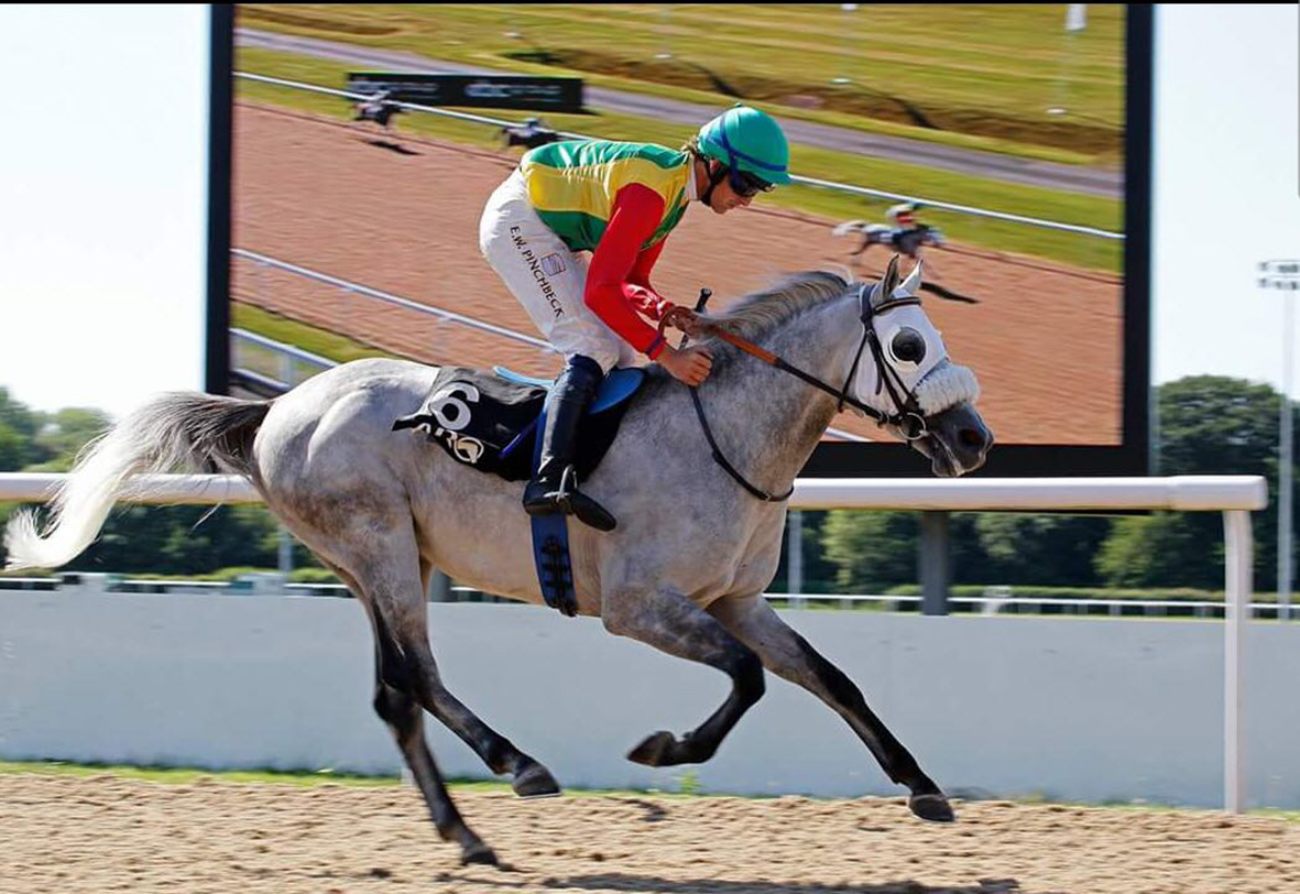 طامح للخيالة السلطانية يحقق انتصاره الثالث على التوالي في سباقات الخيل البريطانية