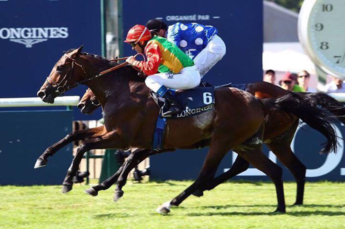           الحصان نفيس للخيالـة السلطانية يفوز بسباق الديربي الفرنسي