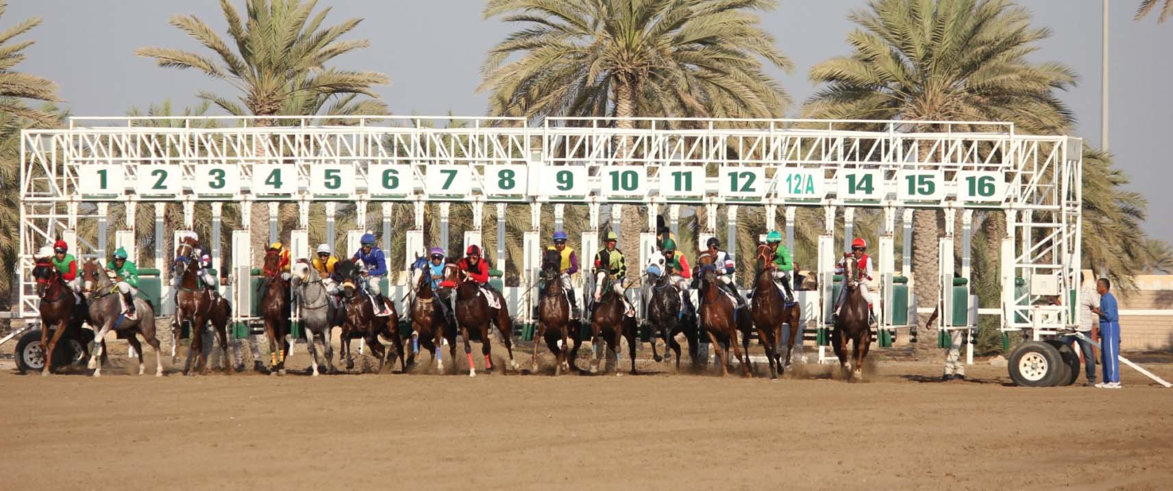 بداية قوية لموسم سباقات الخيل بالرحبة خيول جديدة تلفت الانتباه من أول مشاركة