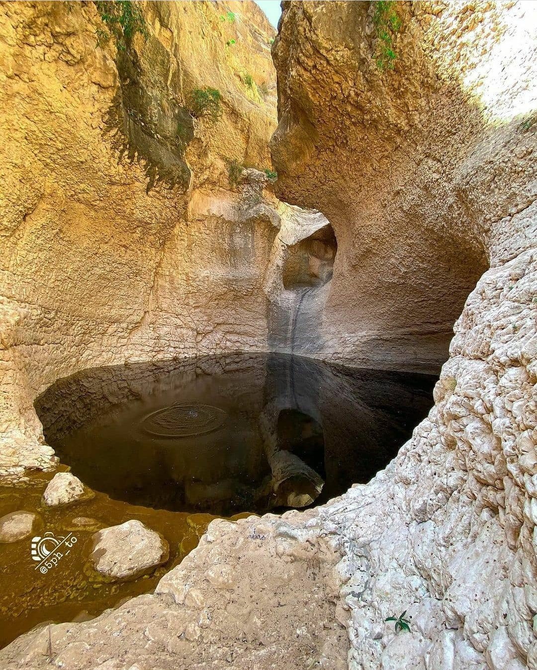 قرية «الجيلة» بنيابة طيوي