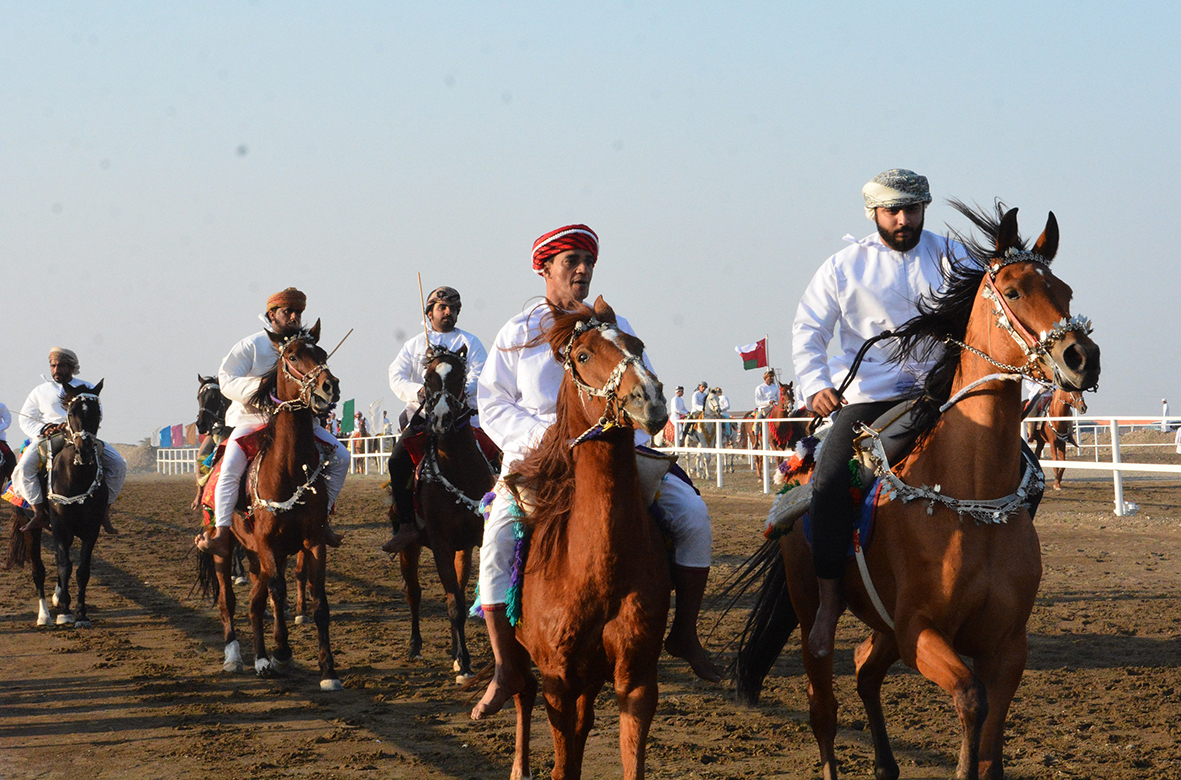 مهرجان رياضات الخيل التقليدية بصحار