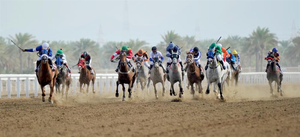 غدًا.. سباق الخيل الثالث على مضمار الرحبة